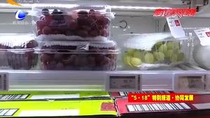 雄安新區(qū)規(guī)劃展：未來的雄安 比你想的更智慧