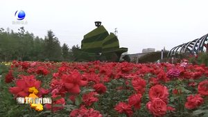 “5·18”經(jīng)洽會接軌國際化標準 提升我市文明城市創(chuàng)建水平