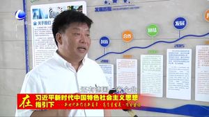 文安縣做強(qiáng)做優(yōu)項(xiàng)目 打造借勢(shì)騰飛發(fā)展新篇章