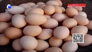 食在好源頭——吃雞蛋的常見誤區(qū)