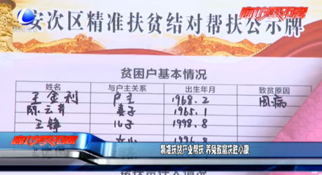 精準(zhǔn)扶貧產(chǎn)業(yè)幫扶 養(yǎng)兔致富決勝小康