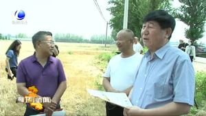 我市小麥開鐮收割 拉來“三夏”生產(chǎn)序幕