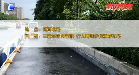 交通違法曝光臺