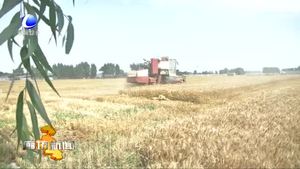 我市各地多措并舉保障“三夏”生產(chǎn)