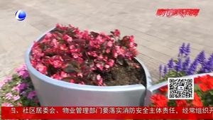 城市綠化頻遭“黑手” 莫為私利傷文明