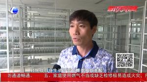 食在好源頭——黃豆芽的營養(yǎng)價(jià)值與食用方法