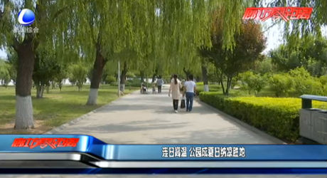 連日高溫 公園成夏日納涼勝地