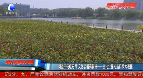 文化公園打造月季大觀園