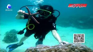 境外旅游如何規(guī)避風(fēng)險(xiǎn)