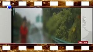 高速逆行8公里 只為回到事故現(xiàn)場(chǎng)