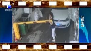 司機著急進(jìn)院門 徒手掰開起落桿
