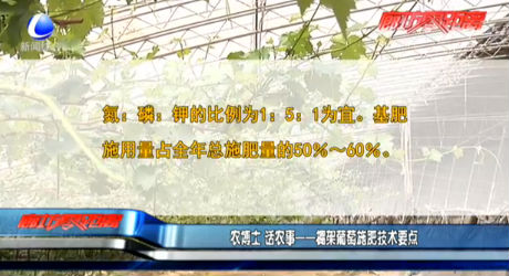 農(nóng)博士 話農(nóng)事——棚架葡萄施肥技術(shù)要點