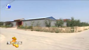 香河縣蔣新屯鎮(zhèn)李莊村加速推進美麗鄉(xiāng)村建設(shè)