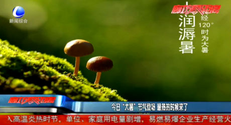 今日“大暑”節(jié)氣登場 最熱的時候來了