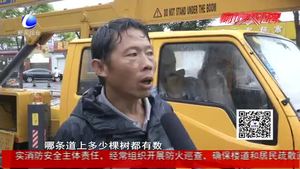 市園林局開展地毯式巡查 冒雨趟水處理傾倒樹木