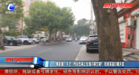 零距離關(guān)注:市民在樹上發(fā)現(xiàn)不明生物?竟是美國白蛾天敵