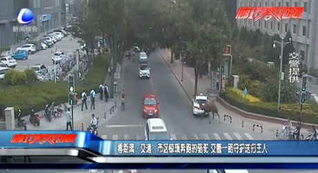 零距離交通：市區(qū)驚現(xiàn)奔跑的駱駝 交警一路守護(hù)送歸主人
