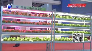 第二十二屆中國（廊坊）農(nóng)產(chǎn)品交易會新聞發(fā)布會在京舉行