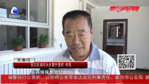 美麗鄉(xiāng)村·幸福家園：安次區(qū)第什里小鎮(zhèn) 風(fēng)箏牽引致富夢