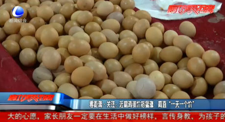 零距離·關(guān)注：近期雞蛋價(jià)格猛漲 簡(jiǎn)直“一天一個(gè)價(jià)”