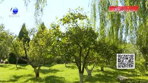 公園果木宜觀賞 果實(shí)不應(yīng)隨意摘