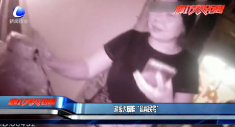 超級大蜘蛛“私闖民宅”