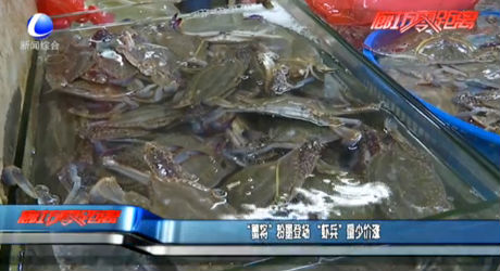 “蟹將”粉墨登場(chǎng) “蝦兵”量少價(jià)漲