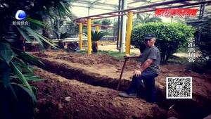 九天休閑谷進(jìn)入人工收尾階段 預(yù)計九月中下旬開業(yè)