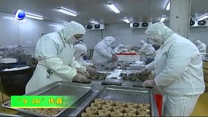 固安縣興蘆集團(tuán)積極籌備“9·26”農(nóng)交會參展工作