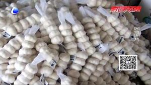 拉蒜車“綠色通道”通不過？工作人員：干皮大蒜有別于鮮蒜 不減免