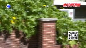 半夜狗吠太擾民 和諧鄰里需共治