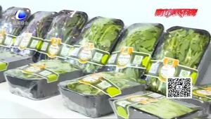 河北現(xiàn)代農(nóng)業(yè)展：展示蓬勃發(fā)展中的河北現(xiàn)代農(nóng)業(yè)