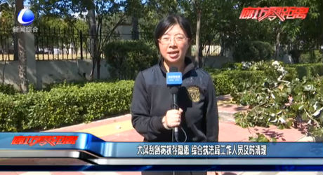 大風(fēng)刮倒樹杈存隱患 綜合執(zhí)法局工作人員及時清理