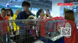 廊坊康寵舉行首屆領(lǐng)養(yǎng)日活動(dòng)