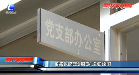 [脫貧攻堅—廊坊在行動]精準(zhǔn)扶貧 讓村民過上好日子