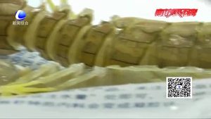 皮皮蝦被注膠？專家實驗辟謠