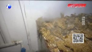 吊頂內(nèi)驚現(xiàn)巨型馬蜂窩 消防成功處置