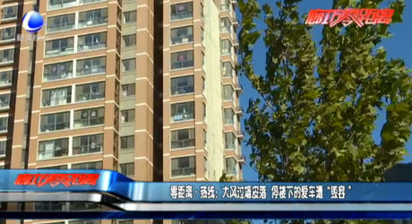 零距離·熱線：大風過墻皮落 停樓下的愛車遭“毀容”