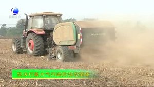 大城縣：秸稈回收變廢為寶 增收增效守護(hù)藍(lán)天