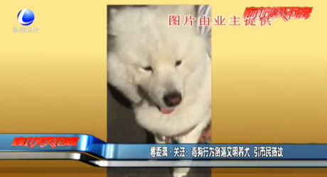 零距離·關注：毒狗行為倒逼文明養(yǎng)犬 引市民熱議