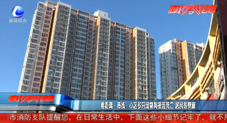 零距離·熱線：小區(qū)多只寵物狗接連死亡 居民很費解