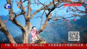 秋色盡冬將來 霜林盡染迎霜降