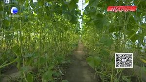 三河市洵陽鎮(zhèn)三里莊村整治環(huán)境建美麗鄉(xiāng)村