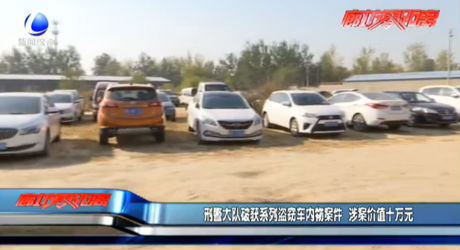 刑警大隊(duì)破獲系列盜竊車內(nèi)案件 涉案價(jià)值十萬(wàn)元
