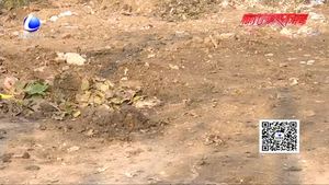 九州四村修起柏油路 村民受益笑開(kāi)顏