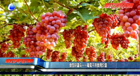 食在好源頭——葡萄干的食用價值