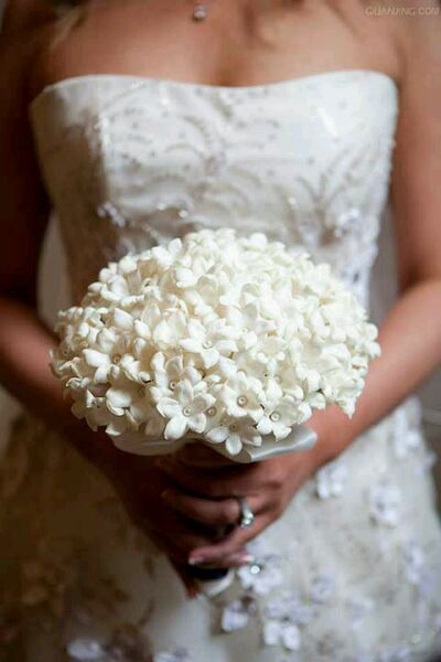 我們結婚吧11月22日