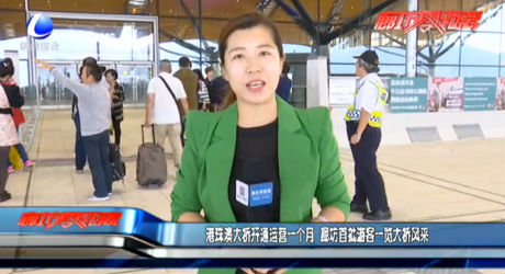 港珠澳大橋開通運(yùn)營一個月 廊坊首批游客一覽大橋風(fēng)采