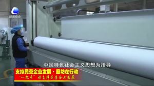 “一把手”談支持民營企業(yè)發(fā)展