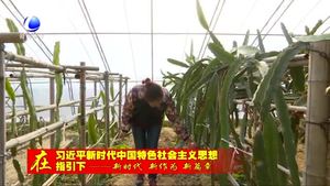 大廠縣發(fā)展全域旅游 打造北京城市副中心后花園